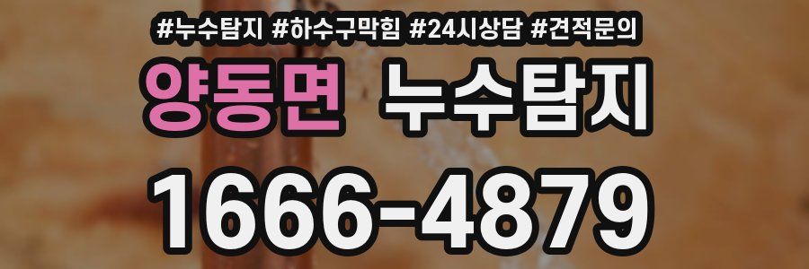 누수탐지