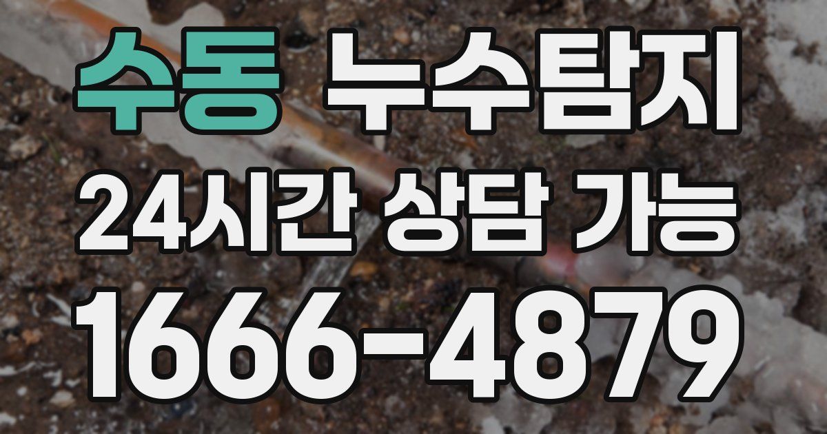 수동 누수