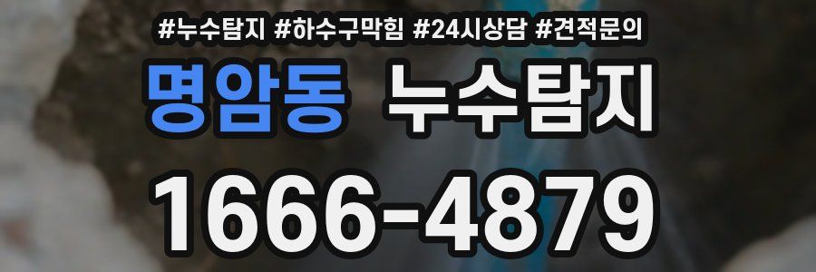 누수탐지