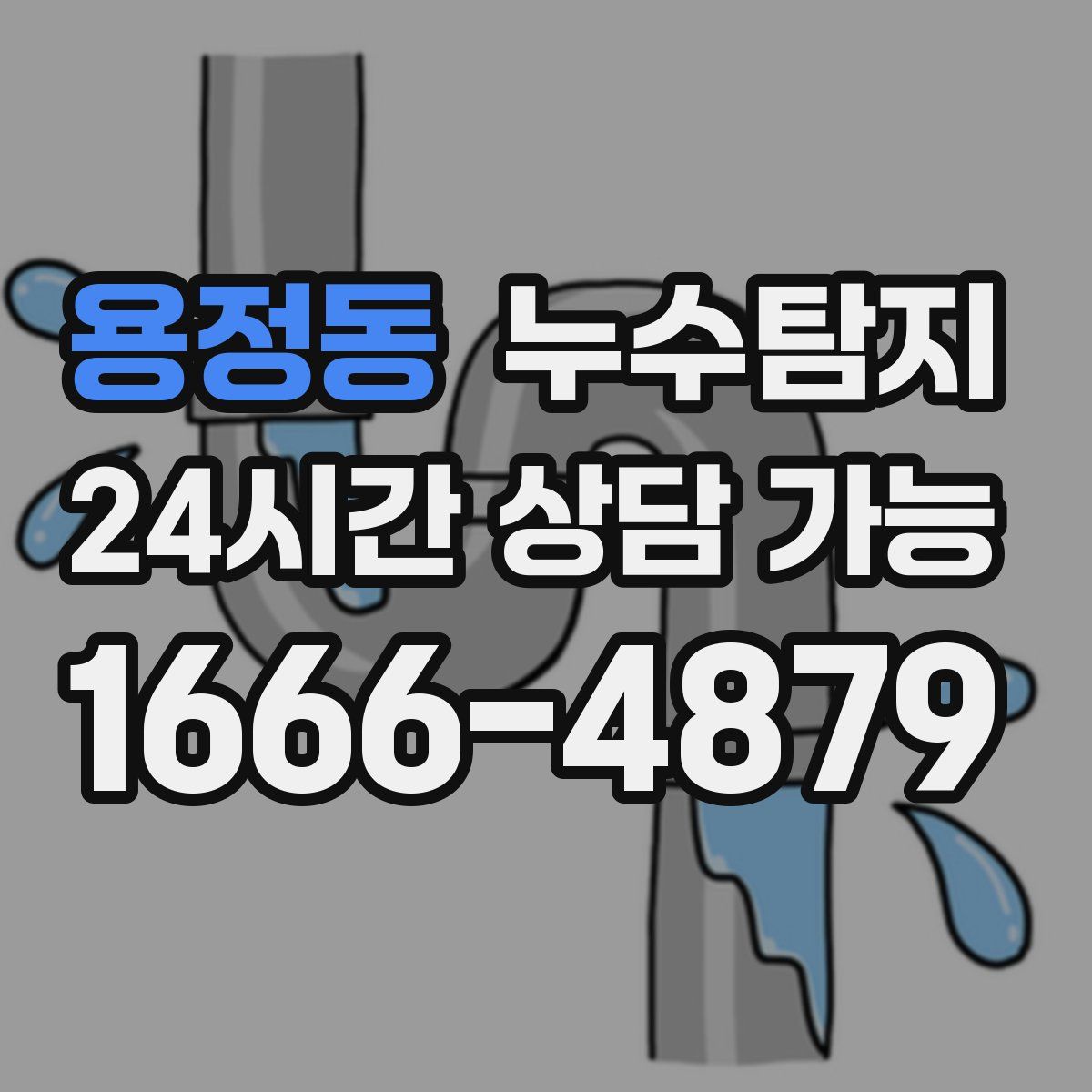 용정동 누수탐지