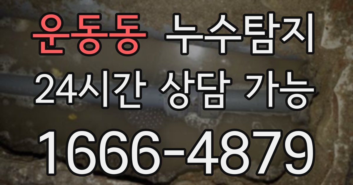 운동동 누수