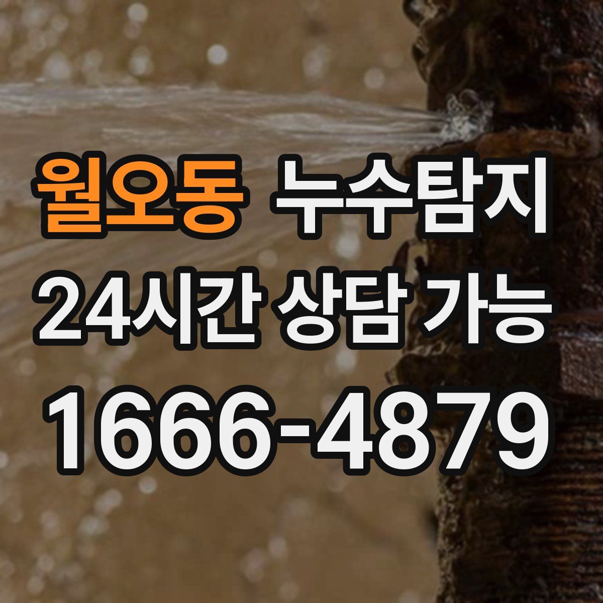 월오동 누수탐지