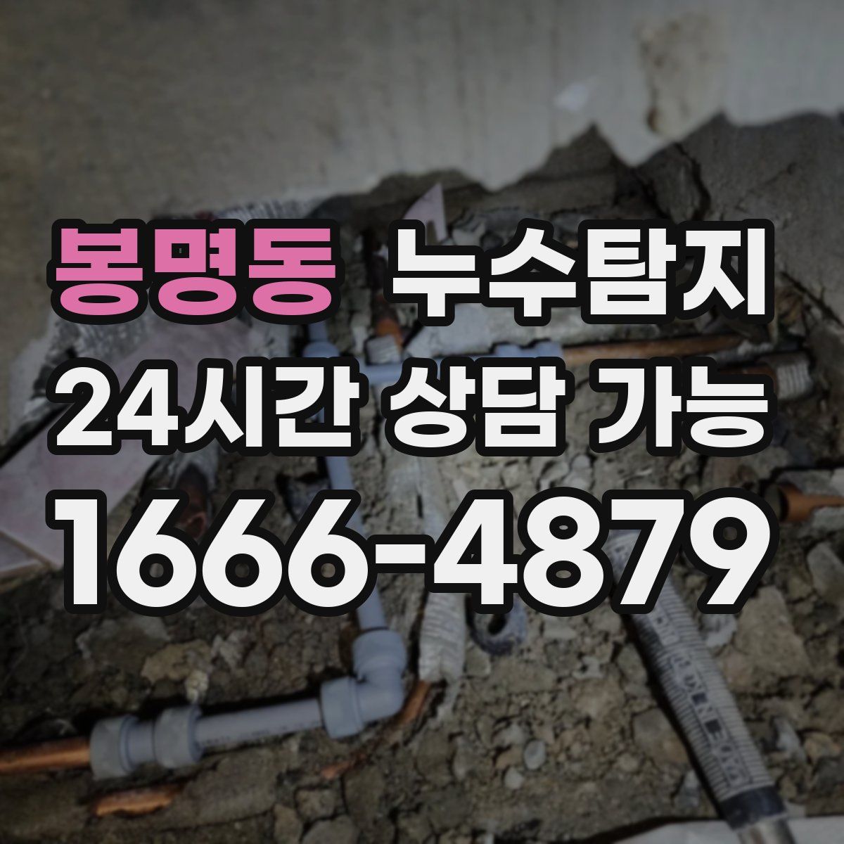 봉명동 누수탐지