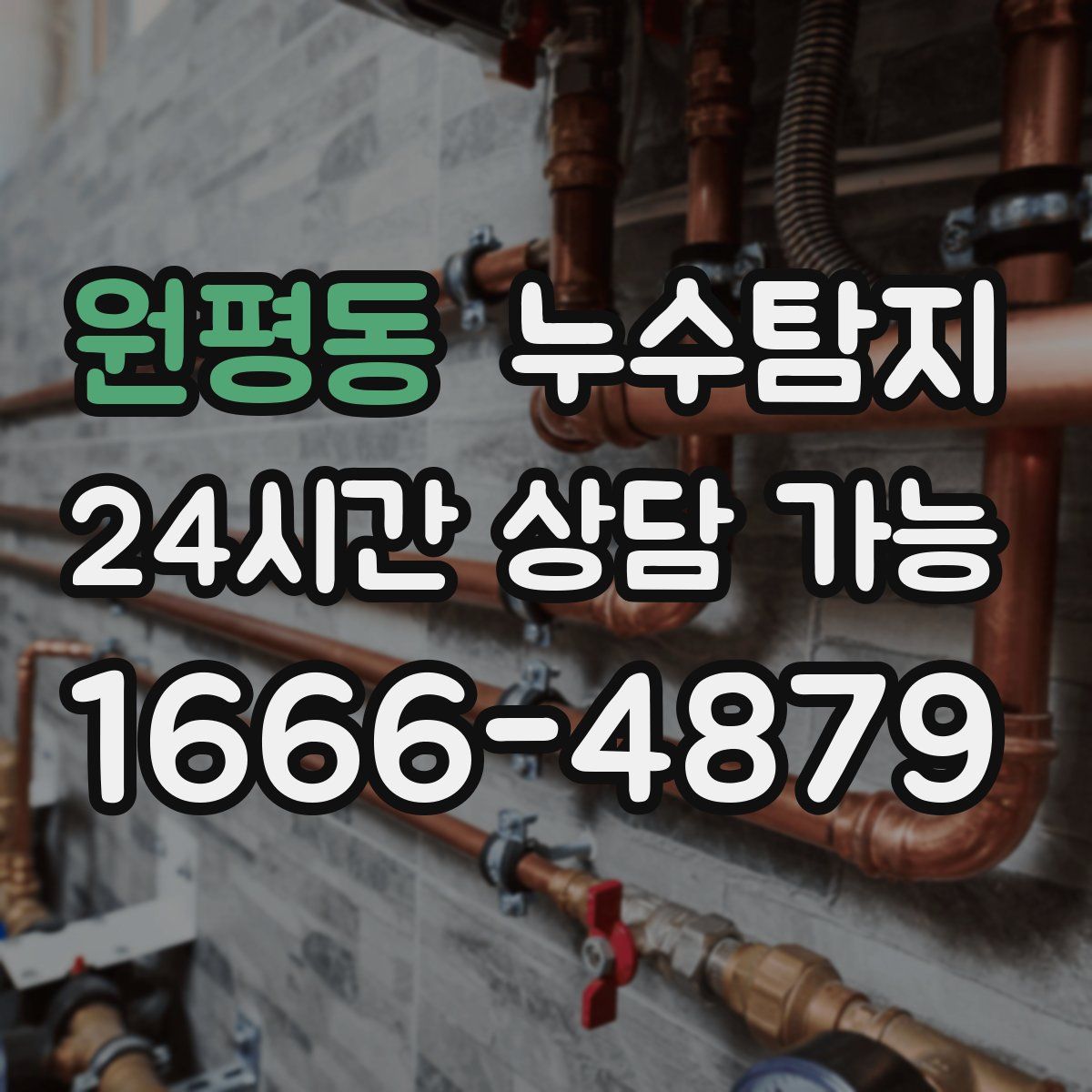 원평동 누수탐지