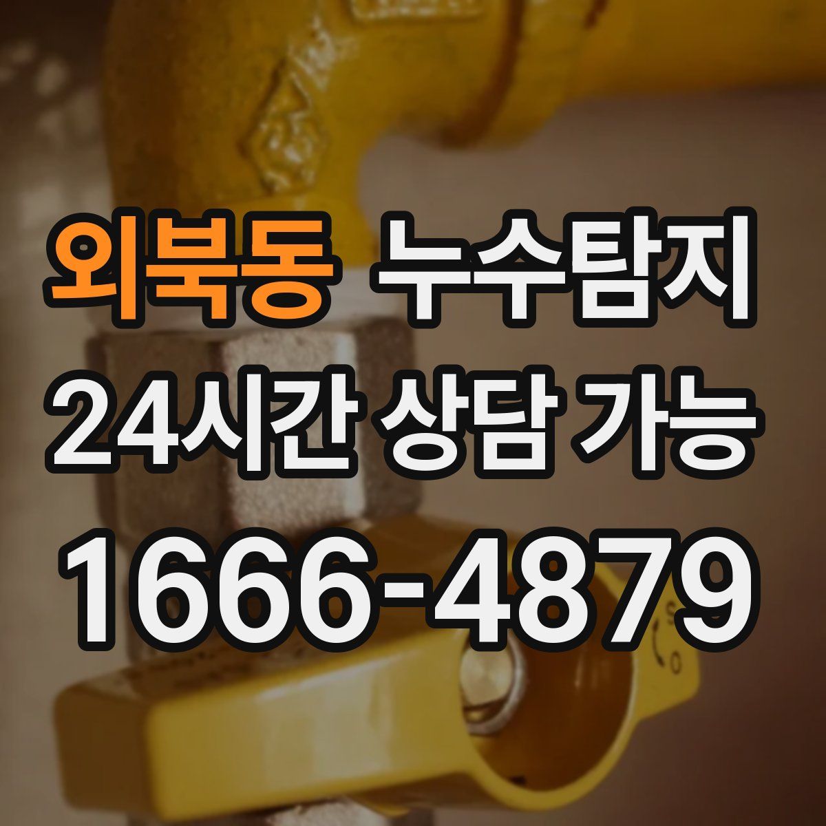 외북동 누수탐지