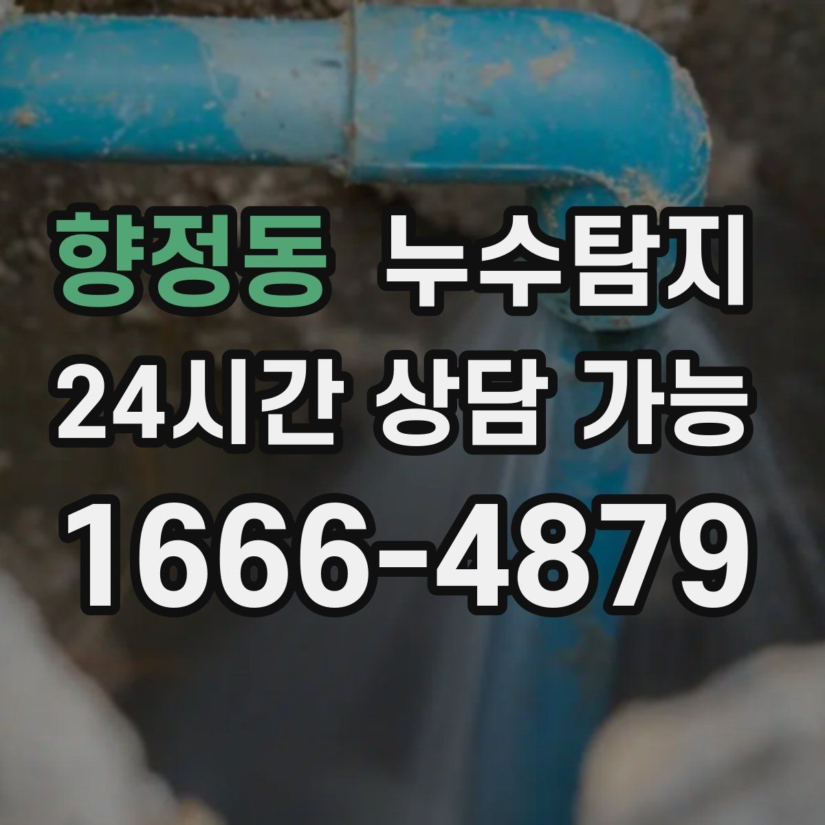 향정동 누수탐지 처음 상담부터 복구까지 전 과정 리뷰