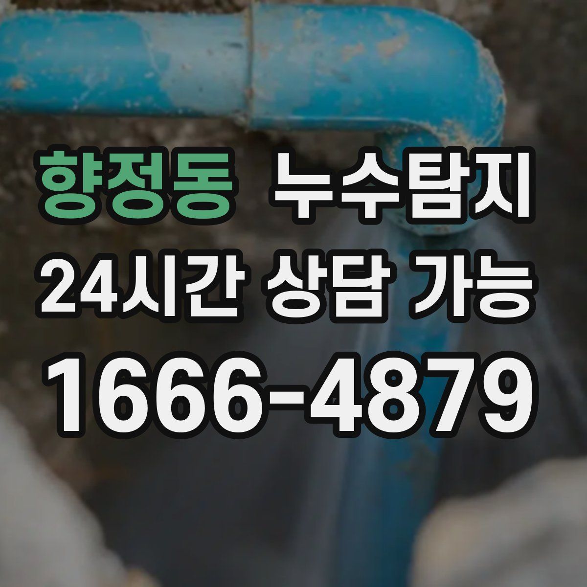 향정동 누수탐지