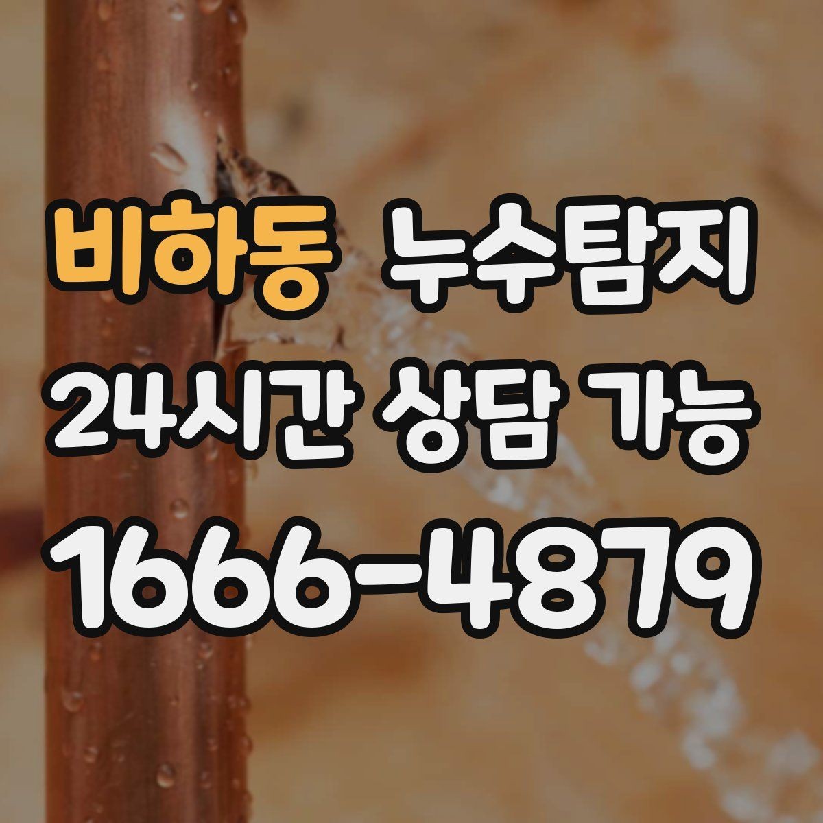 비하동 누수탐지 청음 검사가 알려준 물길 이야기