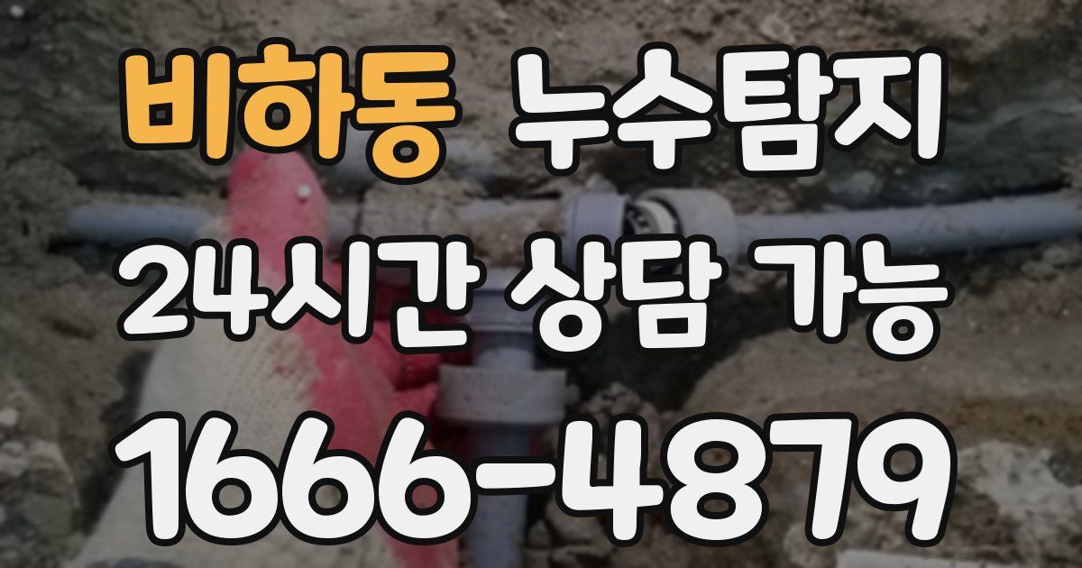 비하동 누수