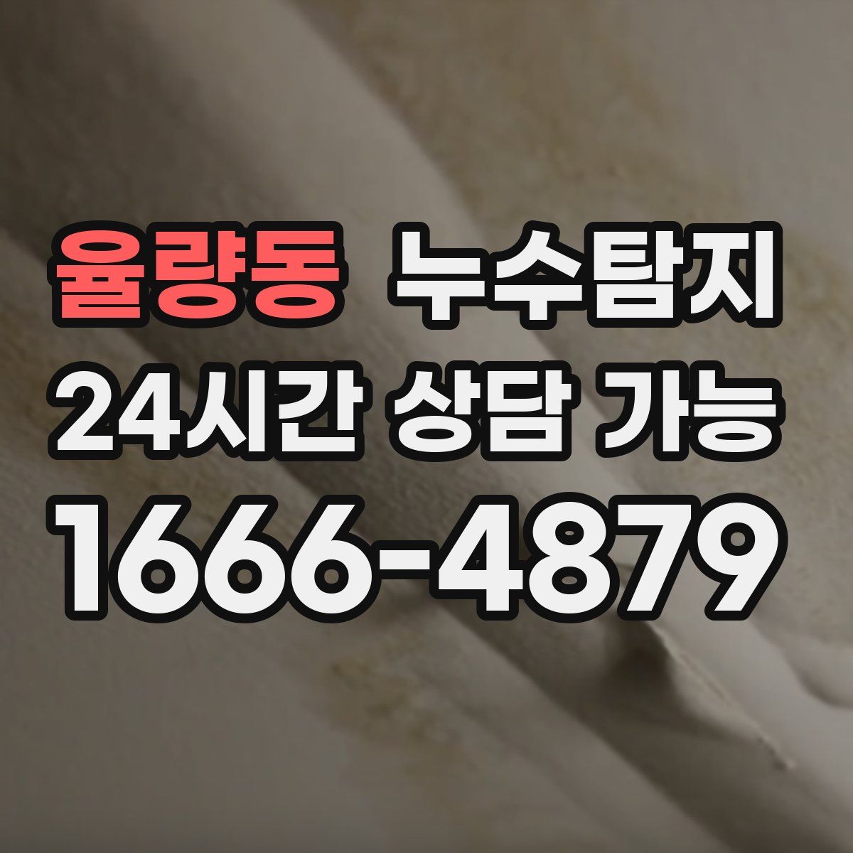 율량동 누수탐지