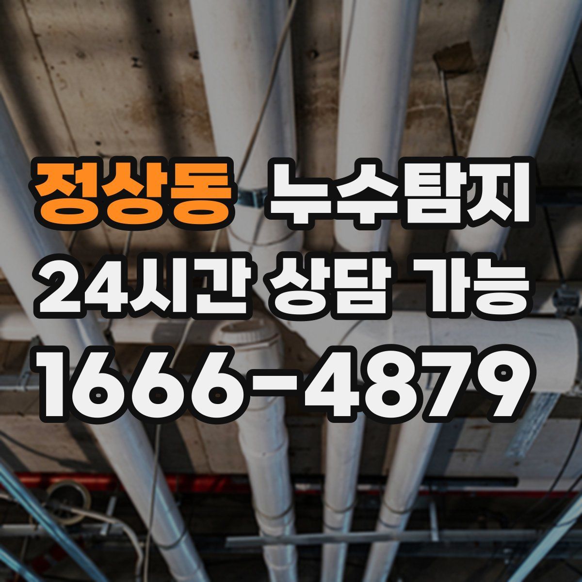 정상동 누수탐지