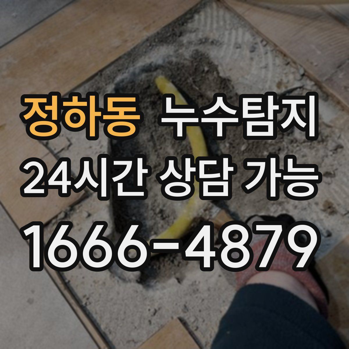 정하동 누수탐지