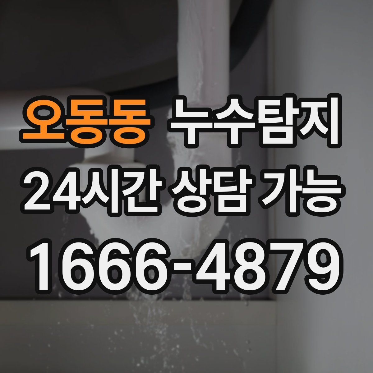 오동동 누수탐지