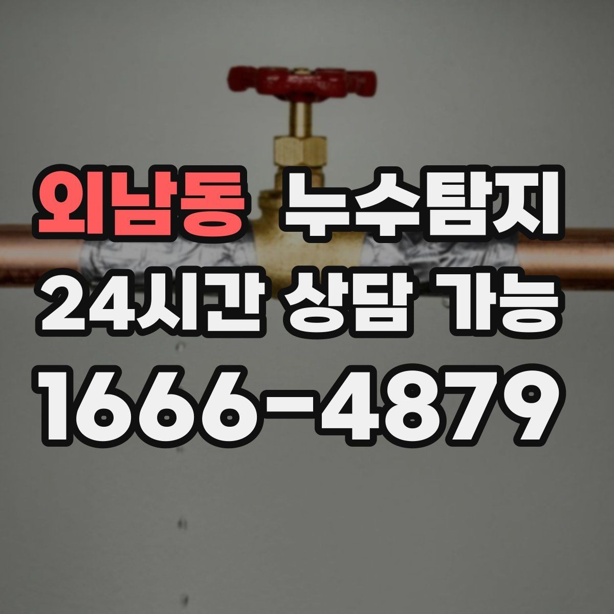 외남동 누수탐지 전문가와 함께한 현장 진단 이야기