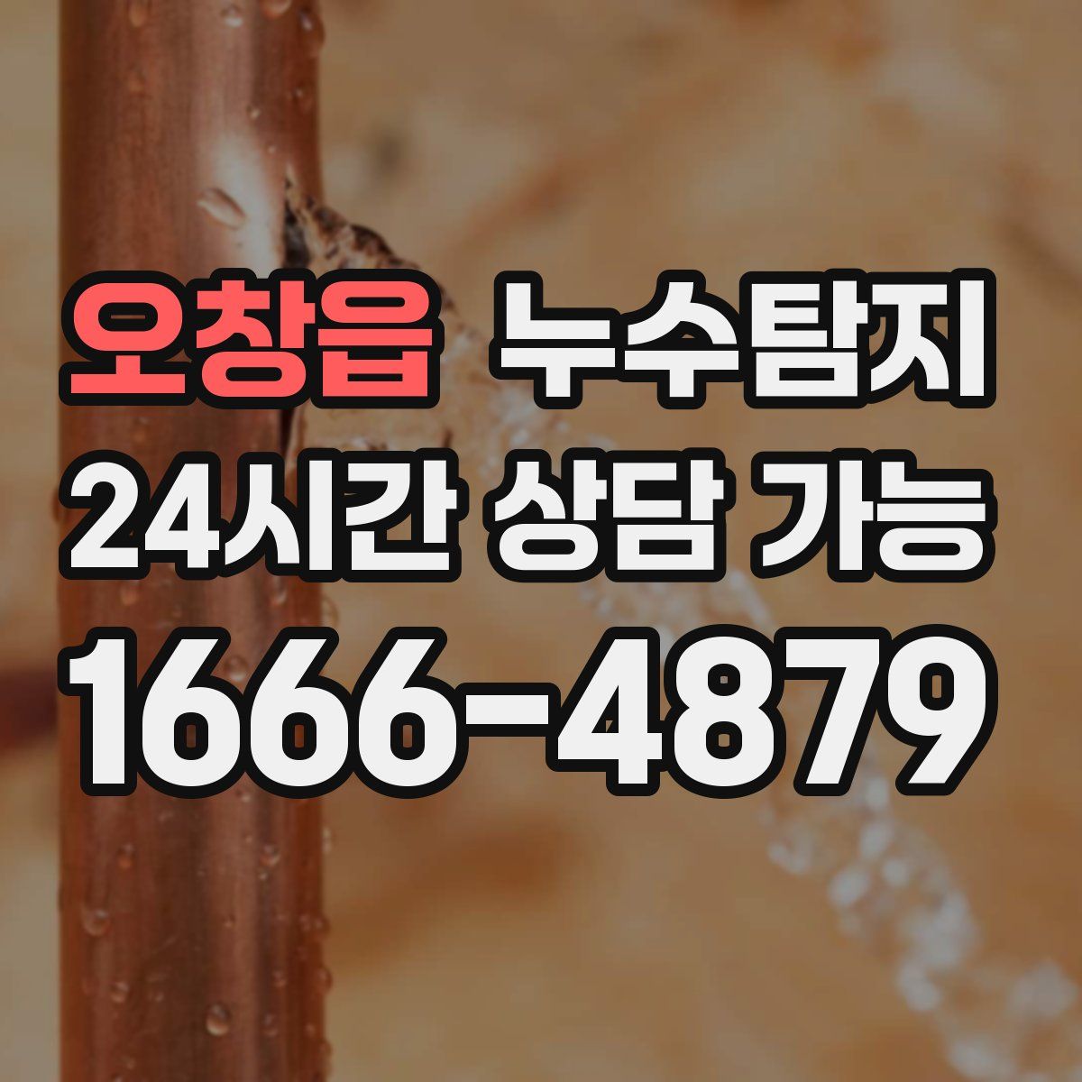 오창읍 누수탐지