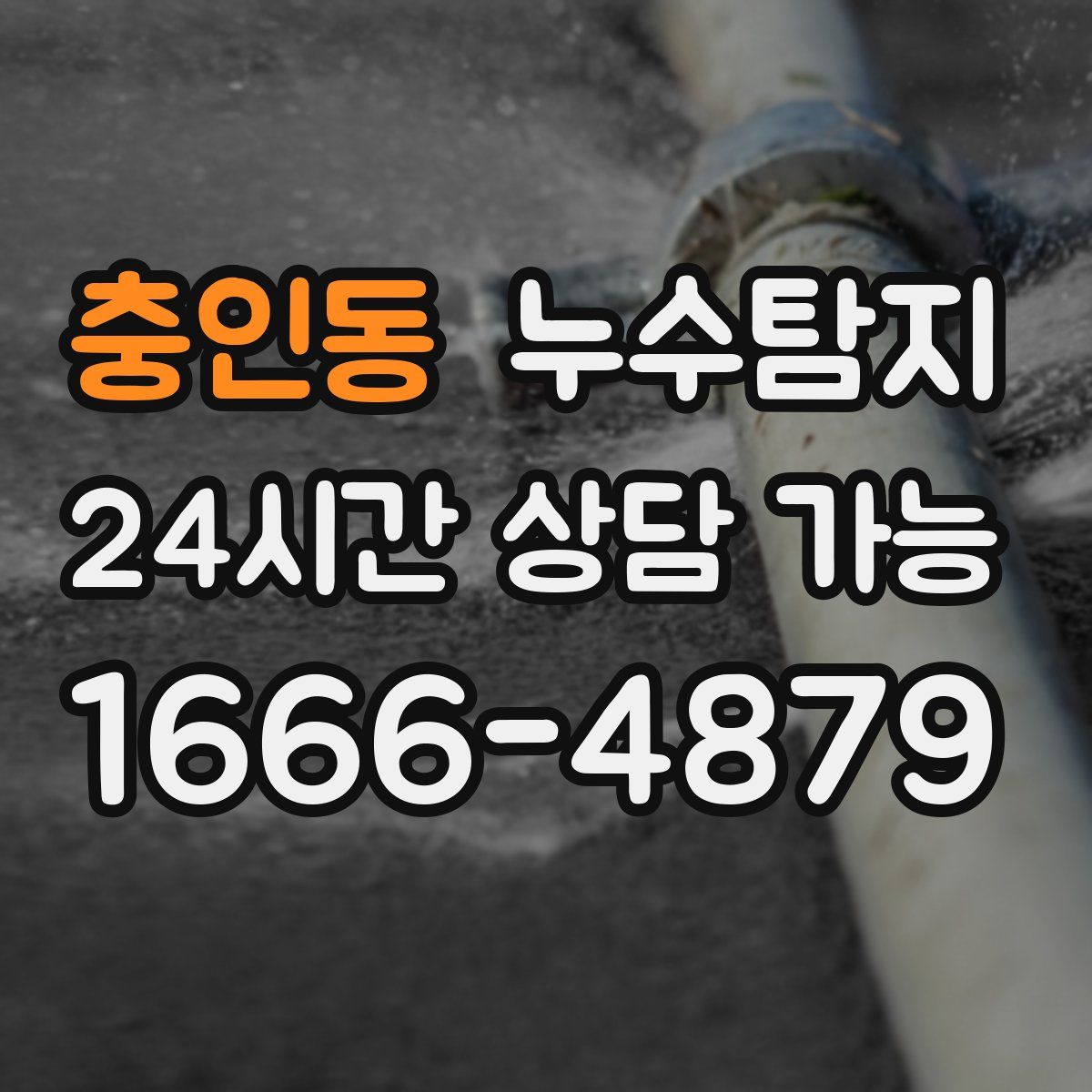 충인동 누수탐지