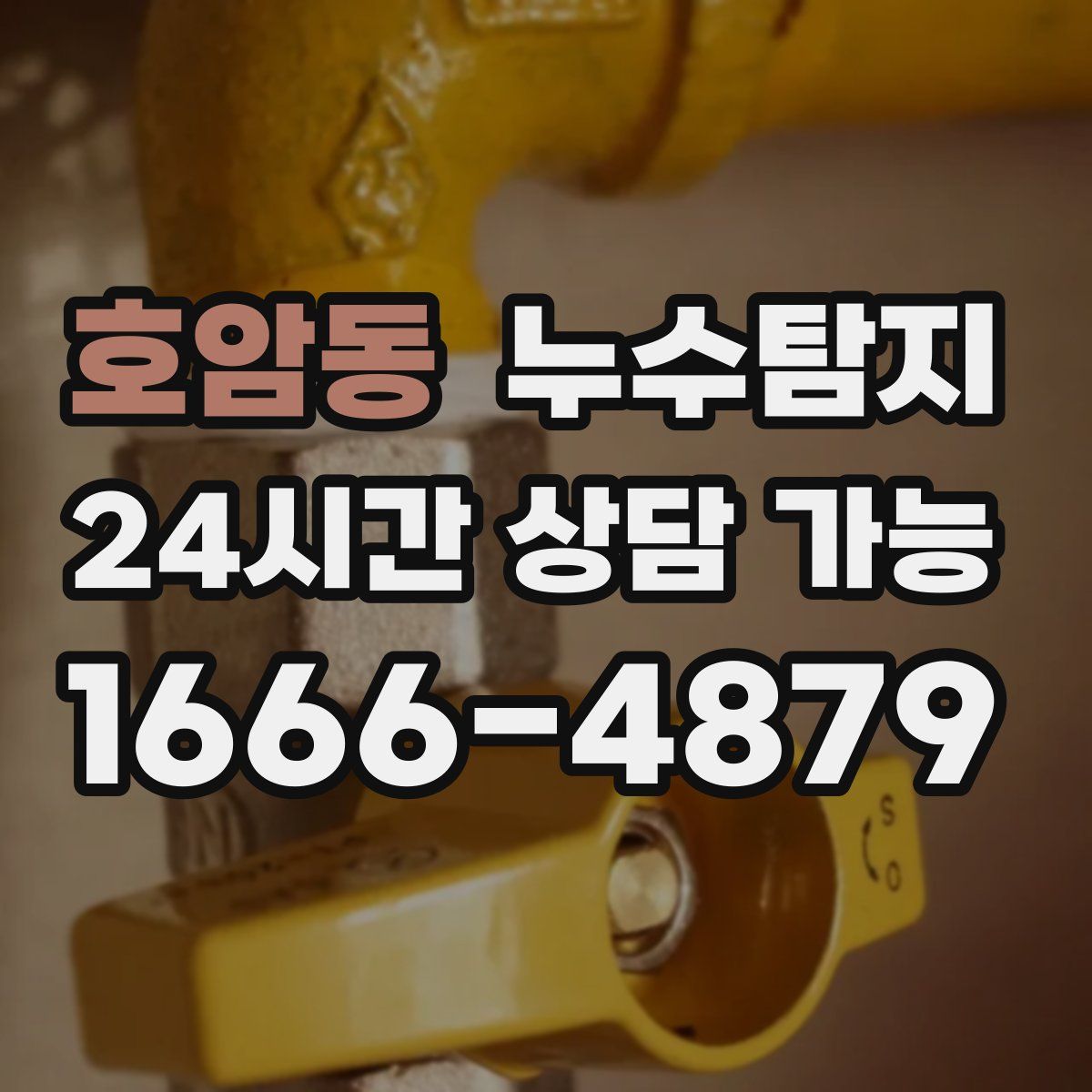 호암동 누수탐지