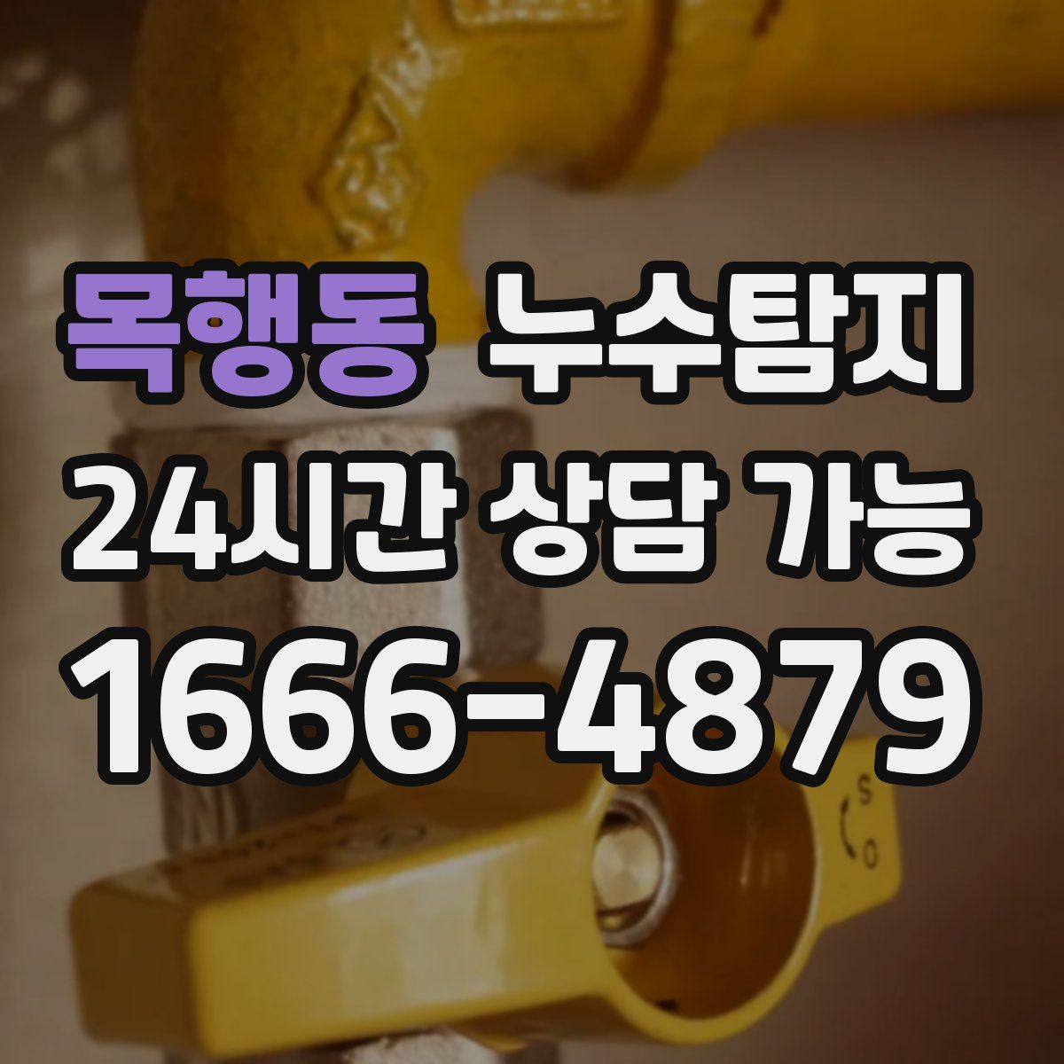 목행동 누수탐지