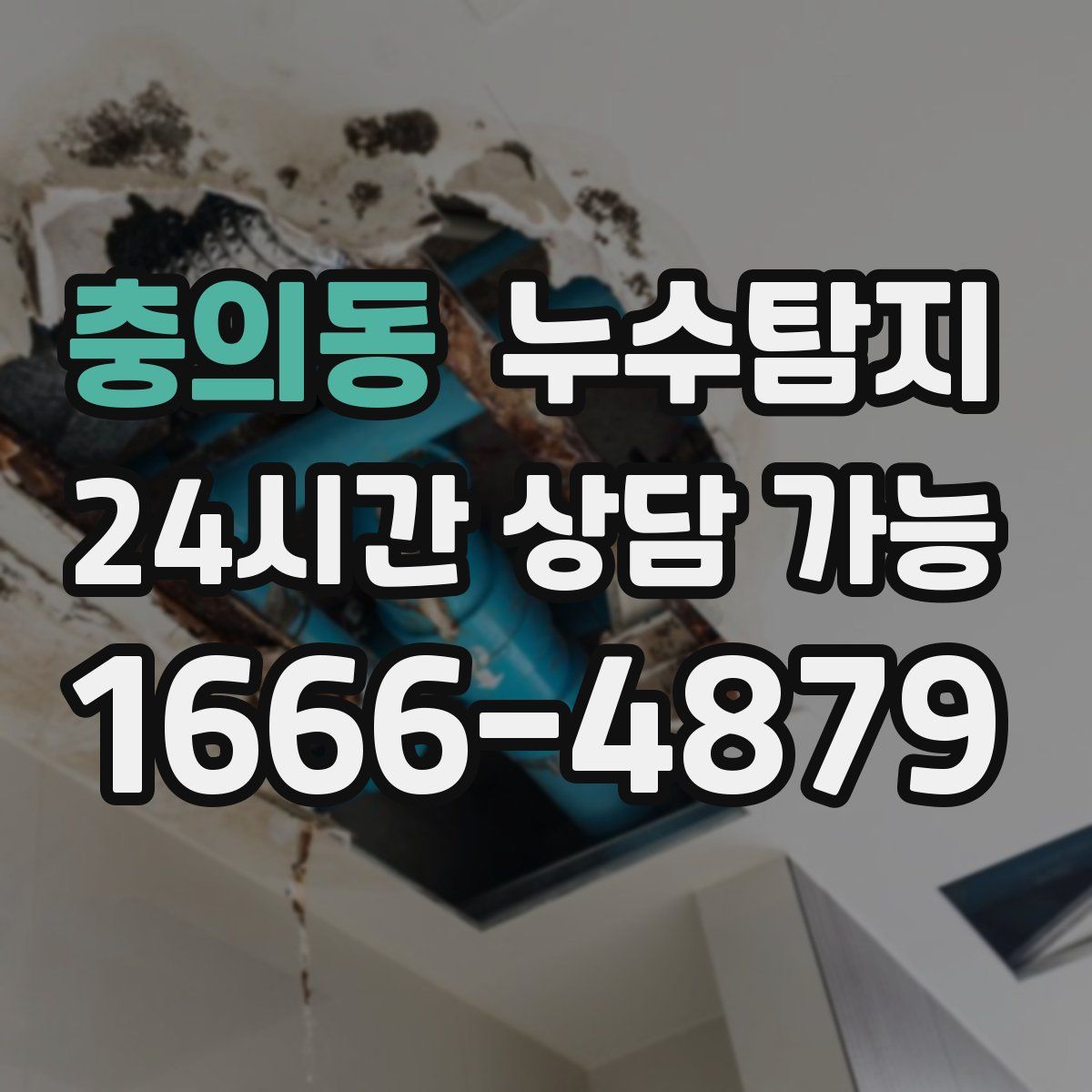 충의동 누수탐지