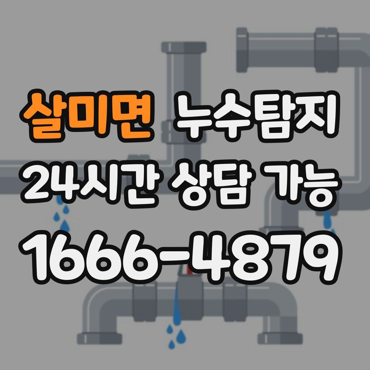 살미면 누수탐지 아이와 반려동물을 위한 안전 점검