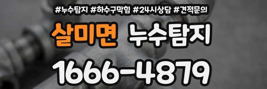 누수탐지