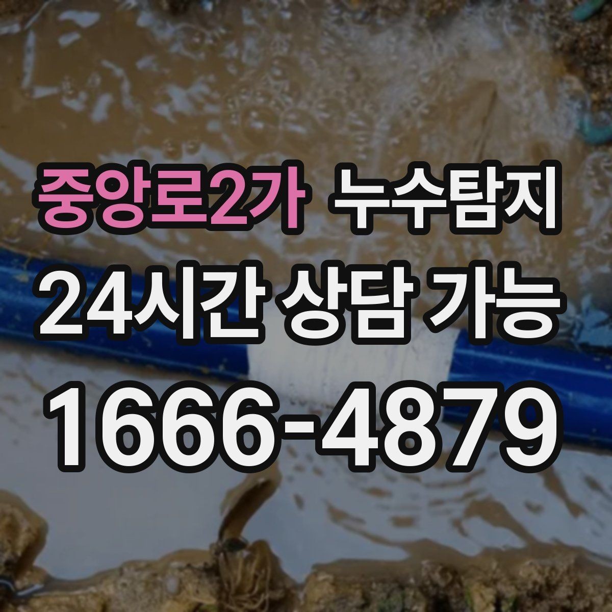 중앙로2가 누수탐지 새집 곰팡이 원인 차단