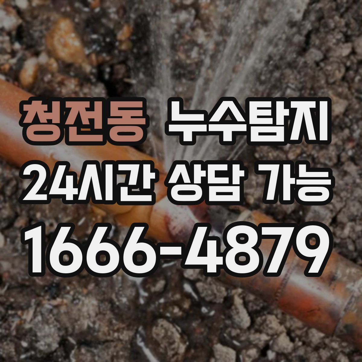 청전동 누수탐지