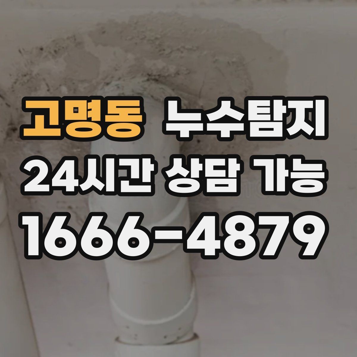 고명동 누수탐지 전세 계약 전 필수 하자 점검 가이드
