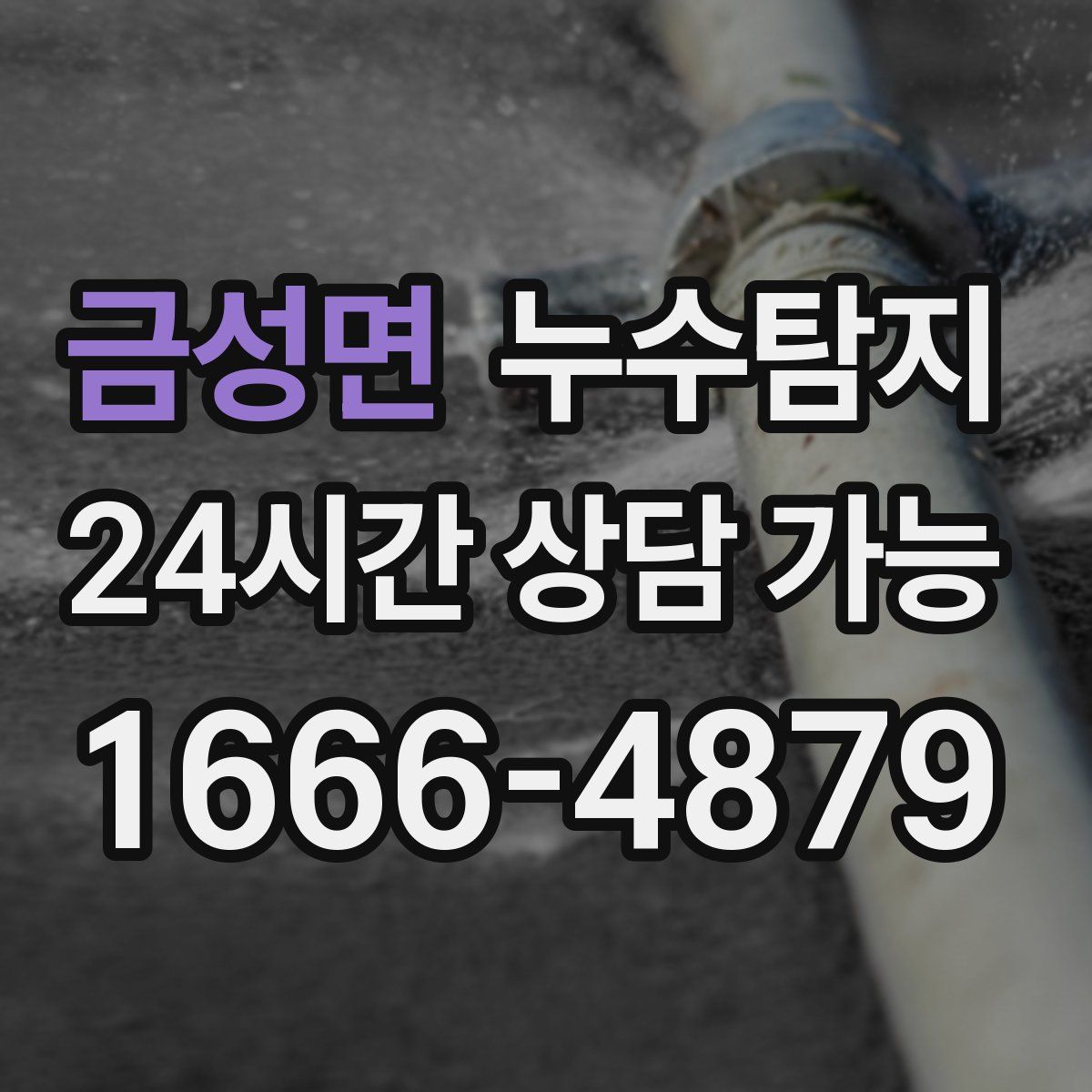금성면 누수탐지