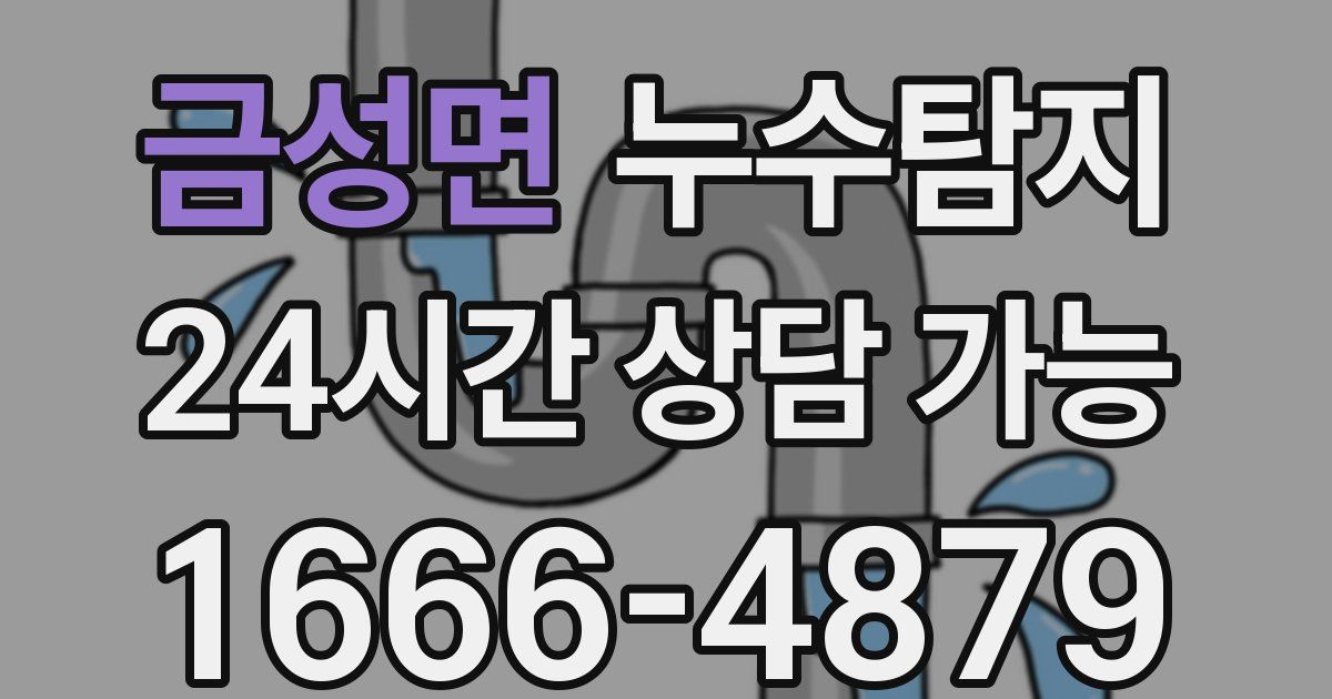 금성면 누수