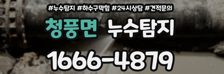 누수탐지