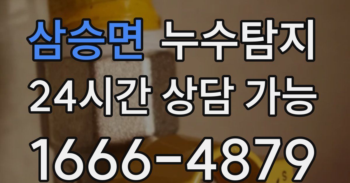 삼승면 누수