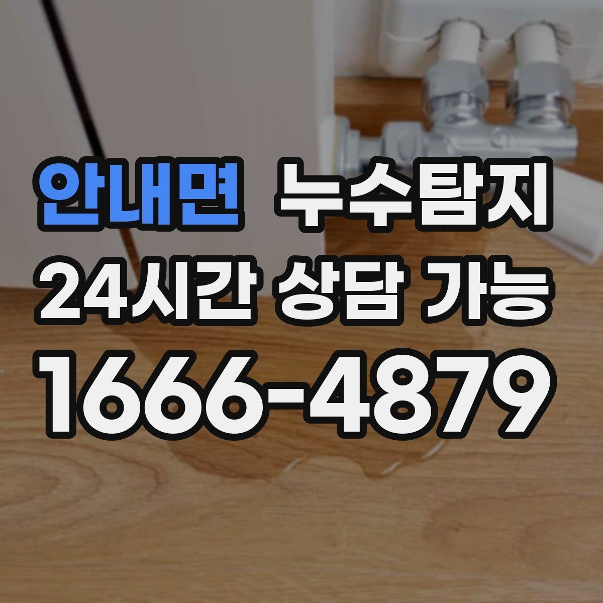 안내면 누수탐지 바닥 습기와 장판 들뜸 해결기