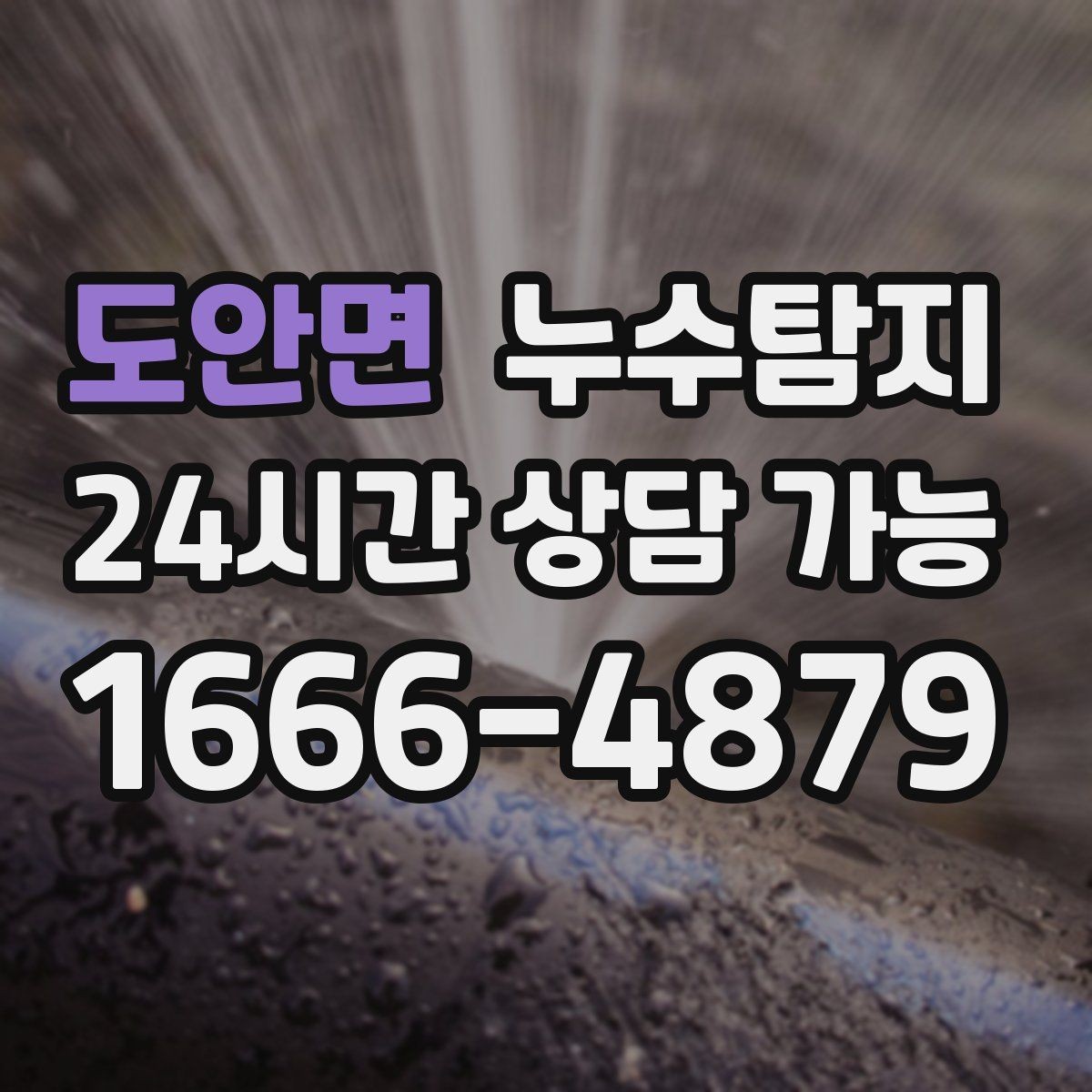 도안면 누수탐지 외벽 침투수 초기 대응 기록