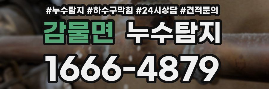 누수탐지