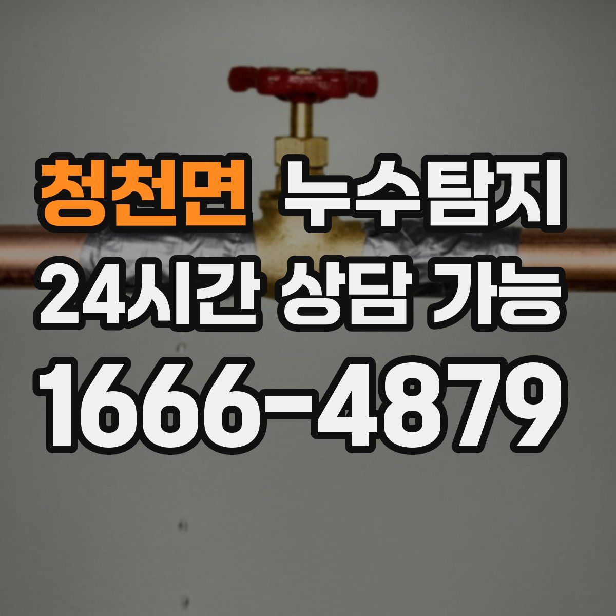 청천면 누수탐지