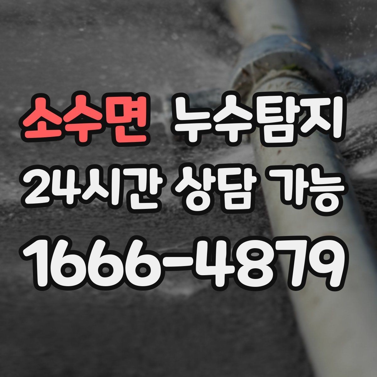 소수면 누수탐지 바닥 습기와 장판 들뜸 해결기