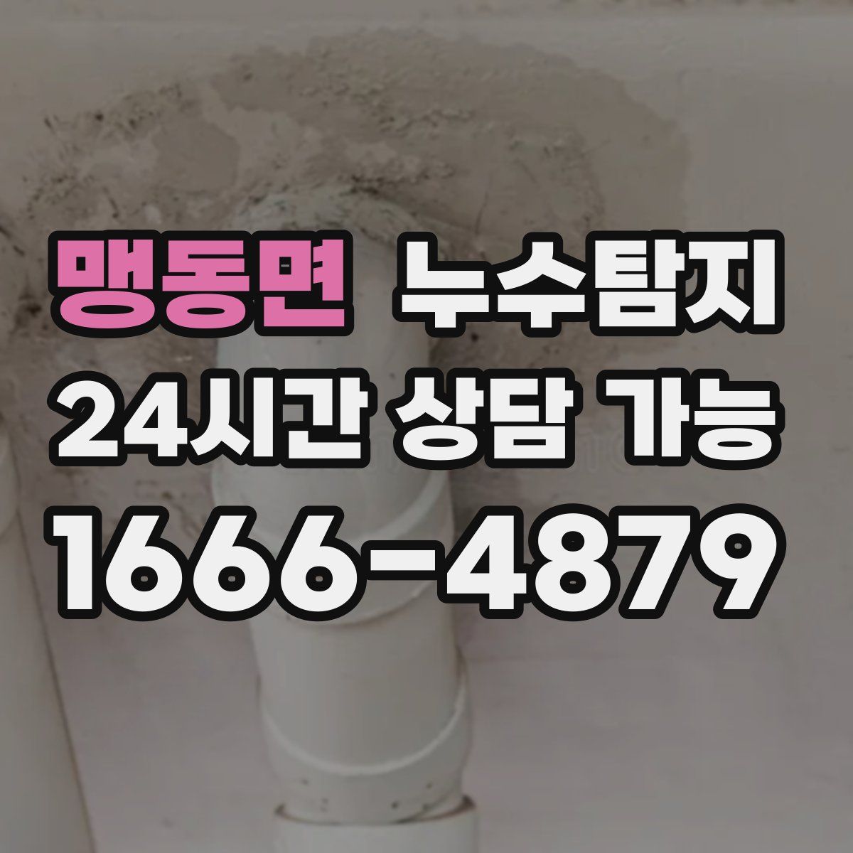 맹동면 누수탐지