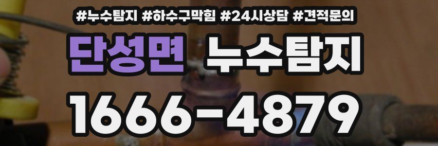누수탐지
