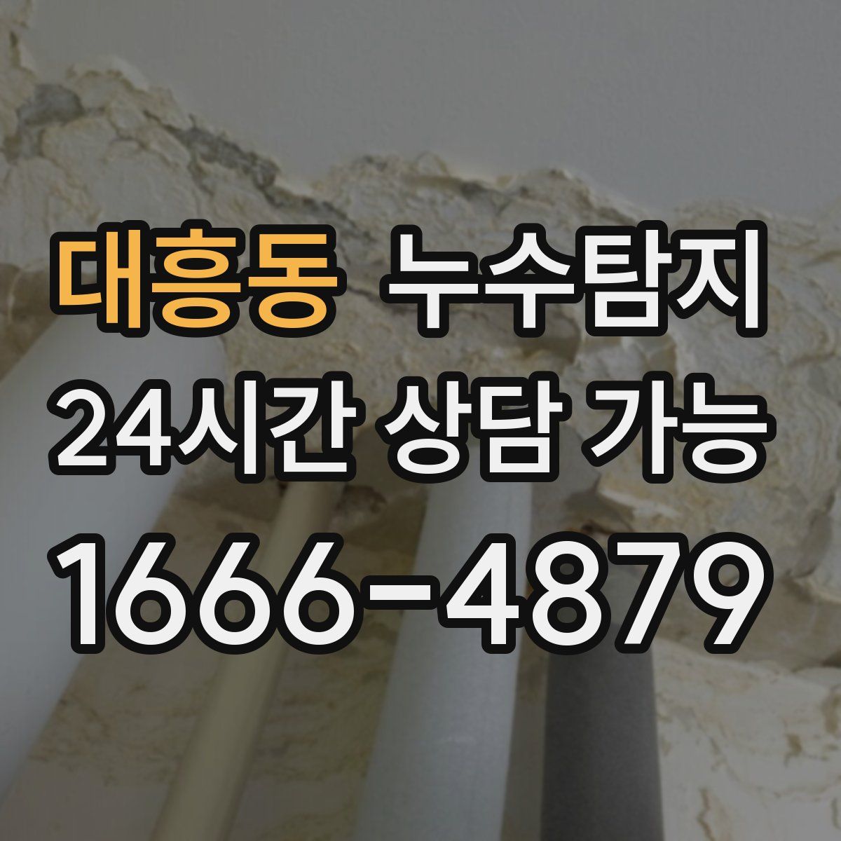 대흥동 누수탐지