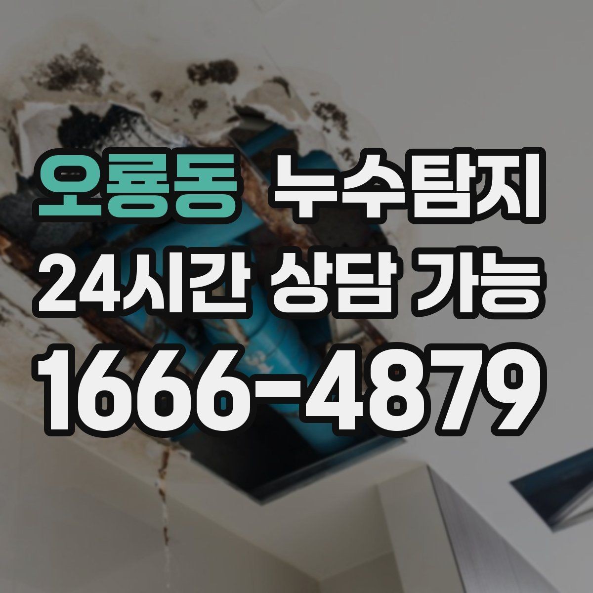 오룡동 누수탐지 셀프 점검 후 전문가 호출 타이밍