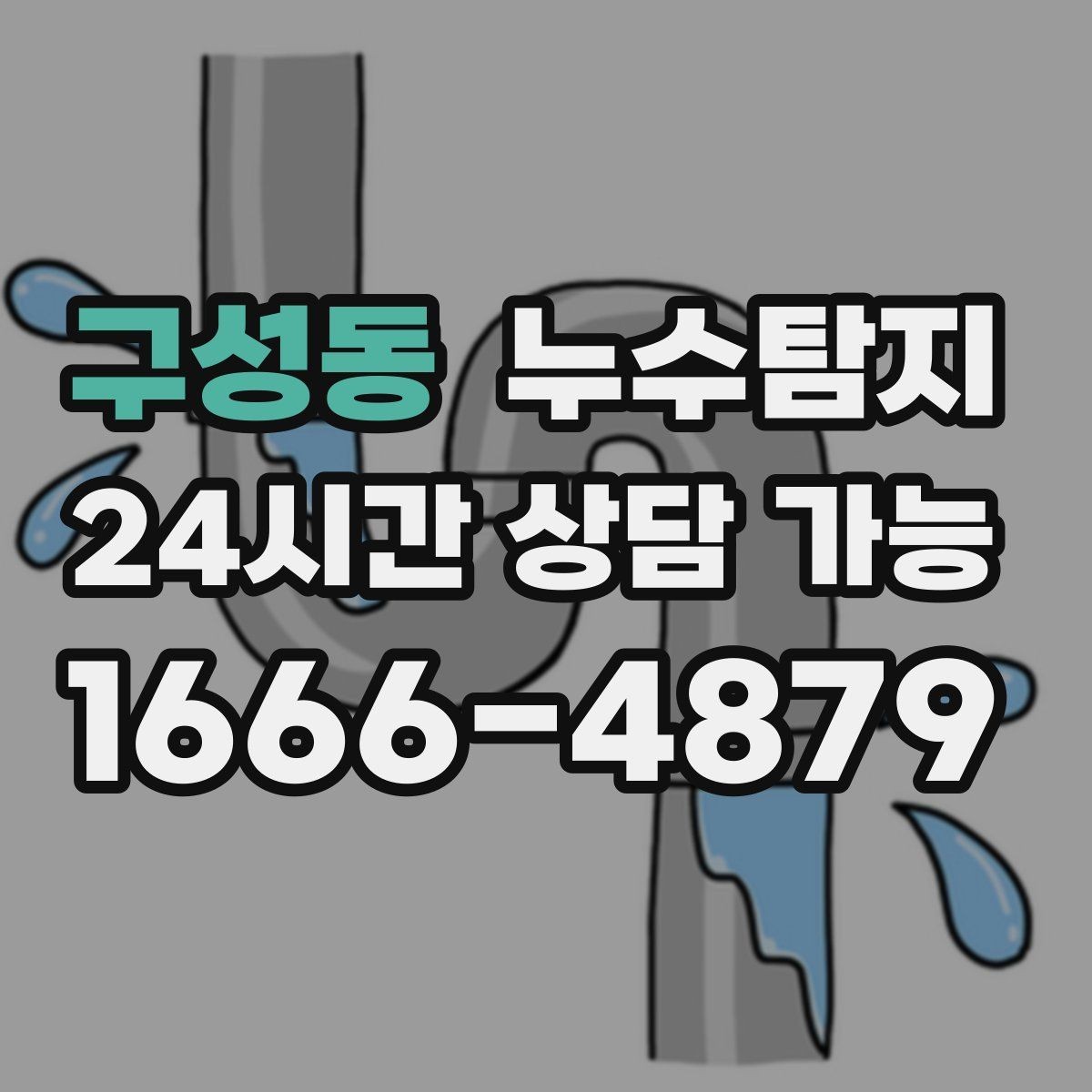 구성동 누수탐지 빠른 방문 당일 진단 가능