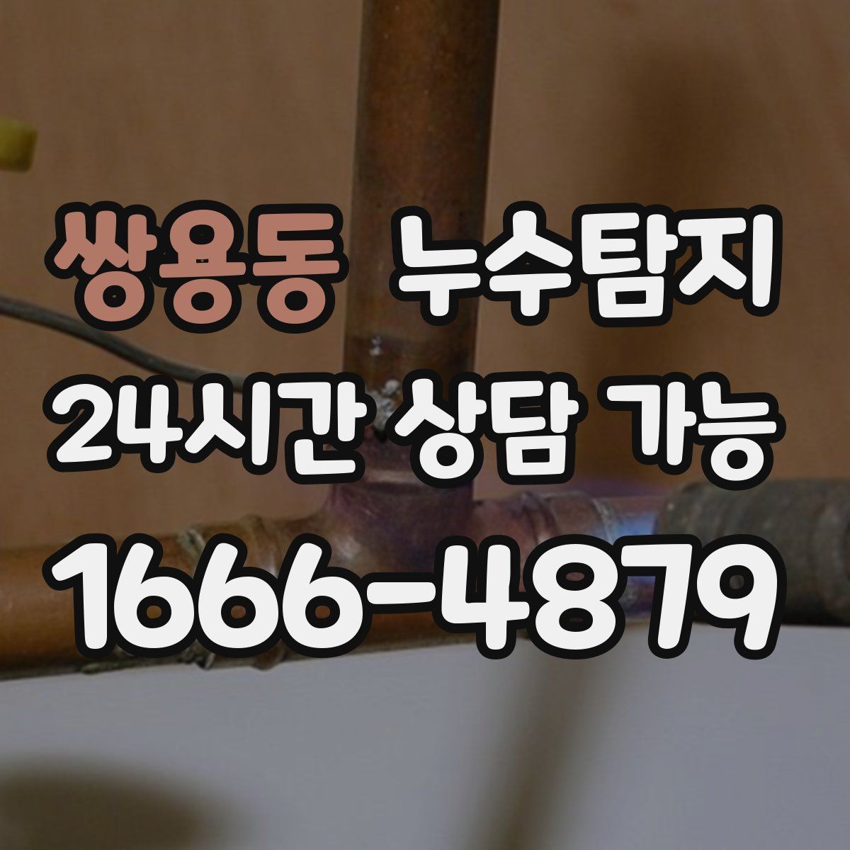 쌍용동 누수탐지