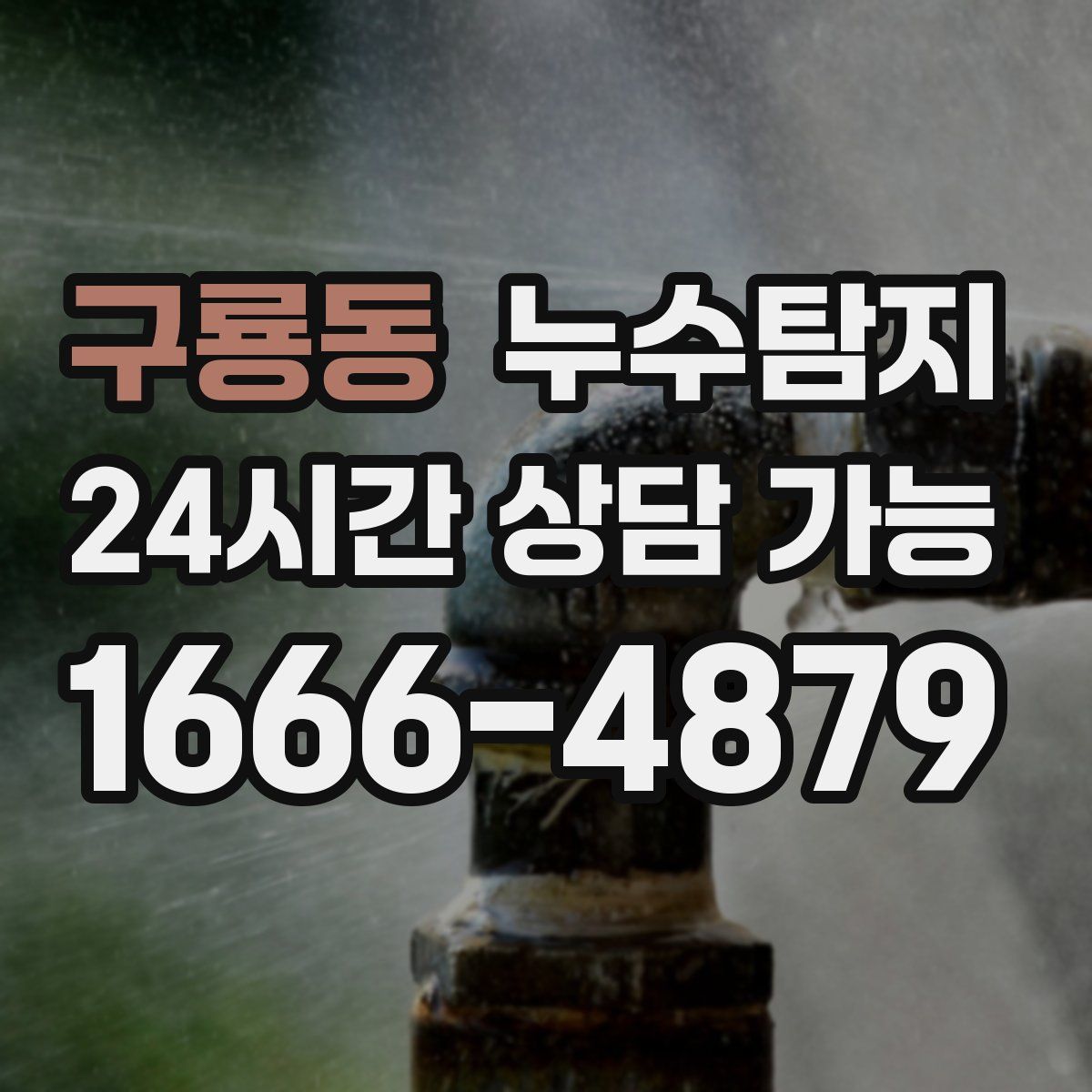 구룡동 누수탐지