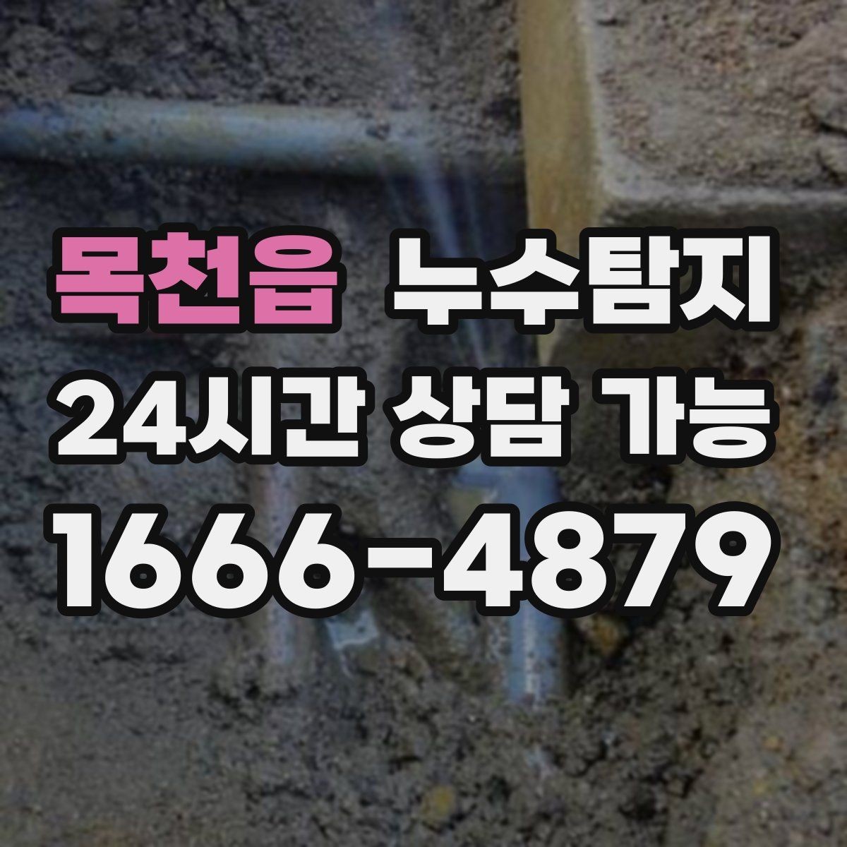 목천읍 누수탐지 촬영 데이터로 확인한 변화