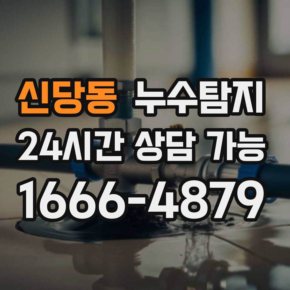 신당동 누수탐지