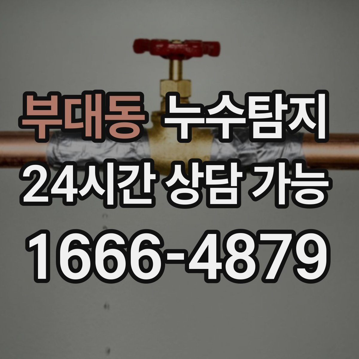 부대동 누수탐지 벽지 들뜸 수습과 재발 방지