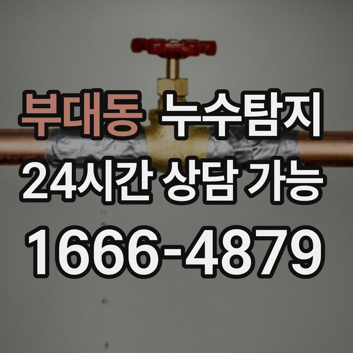 부대동 누수탐지