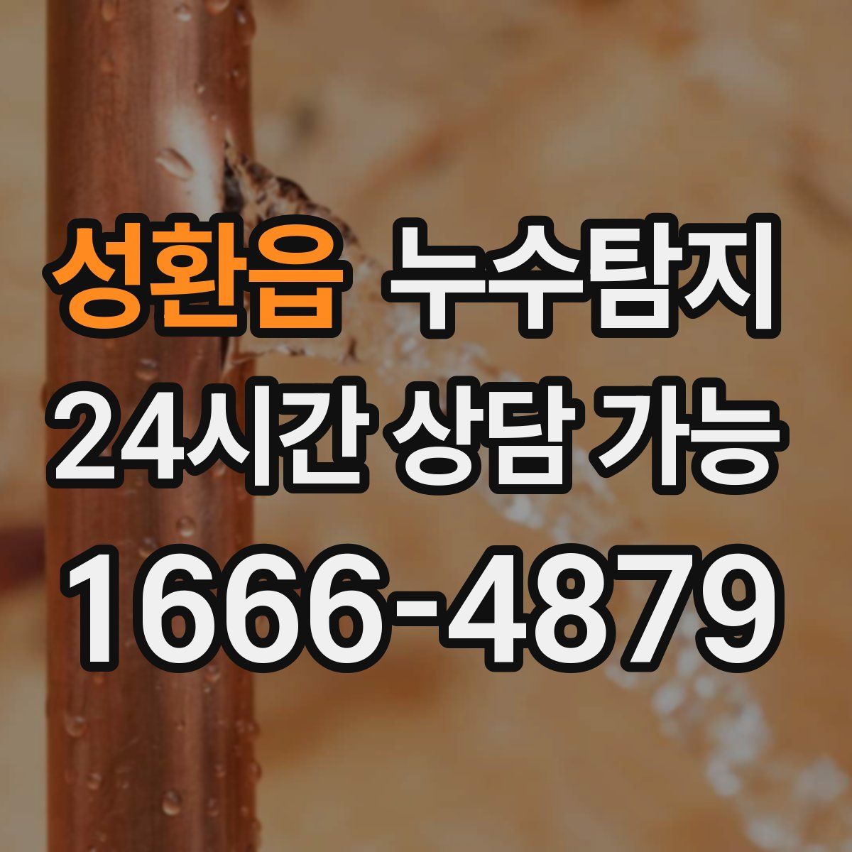 성환읍 누수탐지