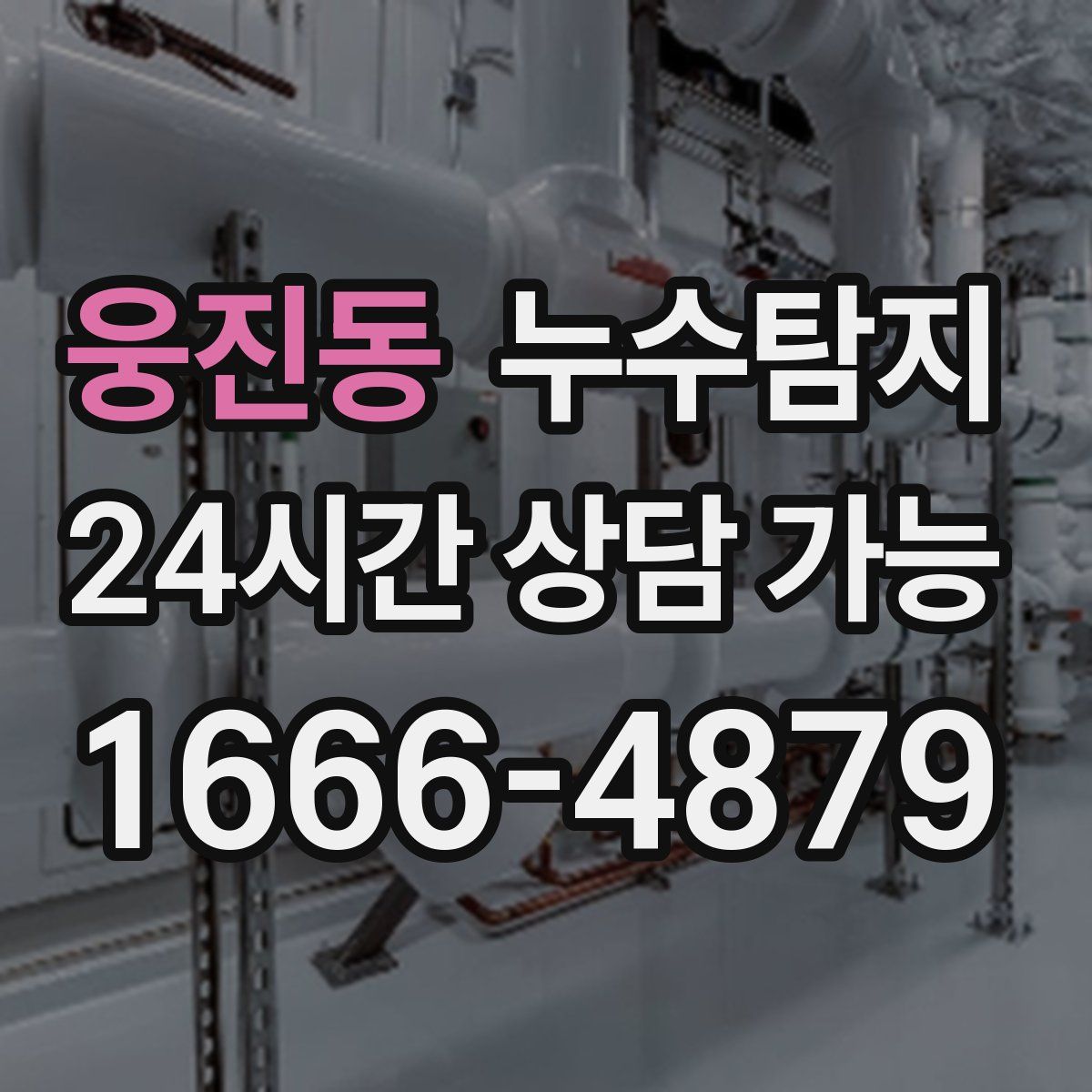 웅진동 누수탐지